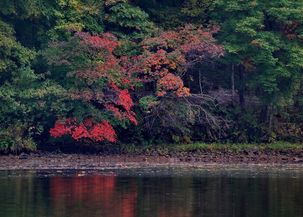 吉林白山附近有什么风景区,吉林有山有水的旅游景点