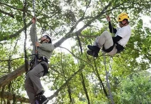 各国高校离谱选修课,国外大学选修课程
