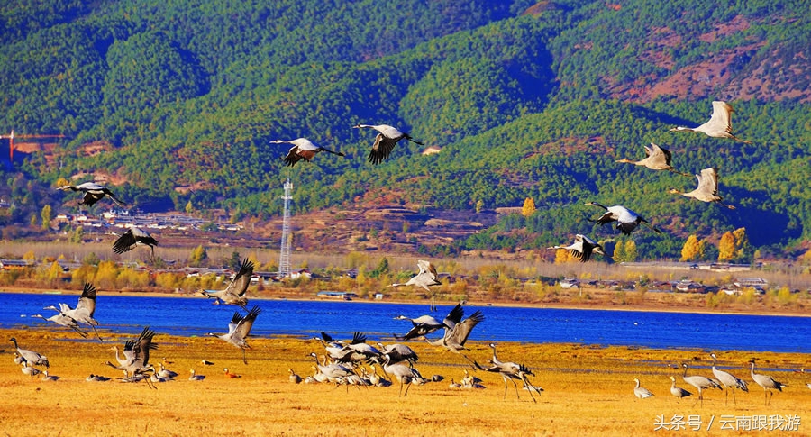 丽江9-10月份天气怎么样,云南丽江现在天气穿衣指数