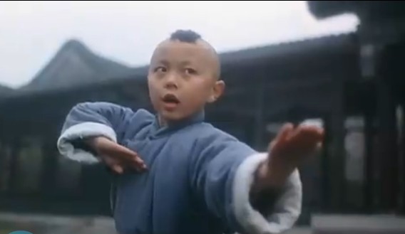 电影新少林五祖李连杰饰演洪熙官,新少林五祖所有演员的名字