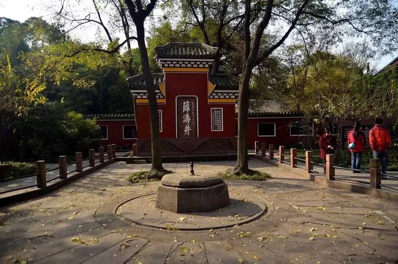 历史节目讲薛涛,薛涛传奇一生