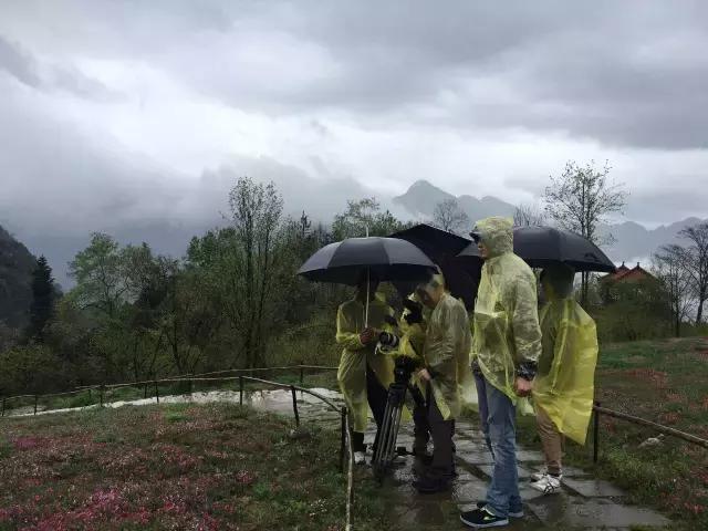 摄制组动态|卢火神附子炮制老官山墓