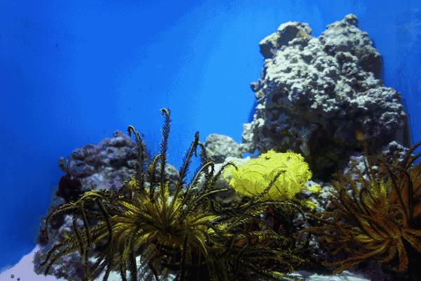 伯利兹旅游视频,伯利兹攻略