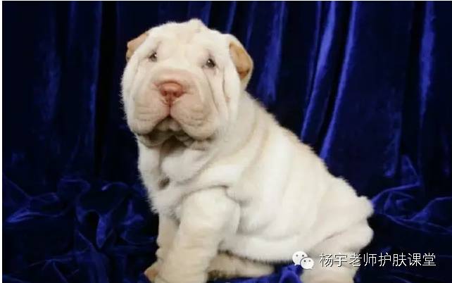 一招搞定松弛面部,脸部防松弛推荐