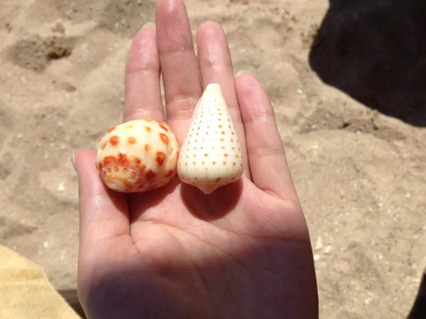 带着婚纱去三亚,带着婚纱旅行厦门