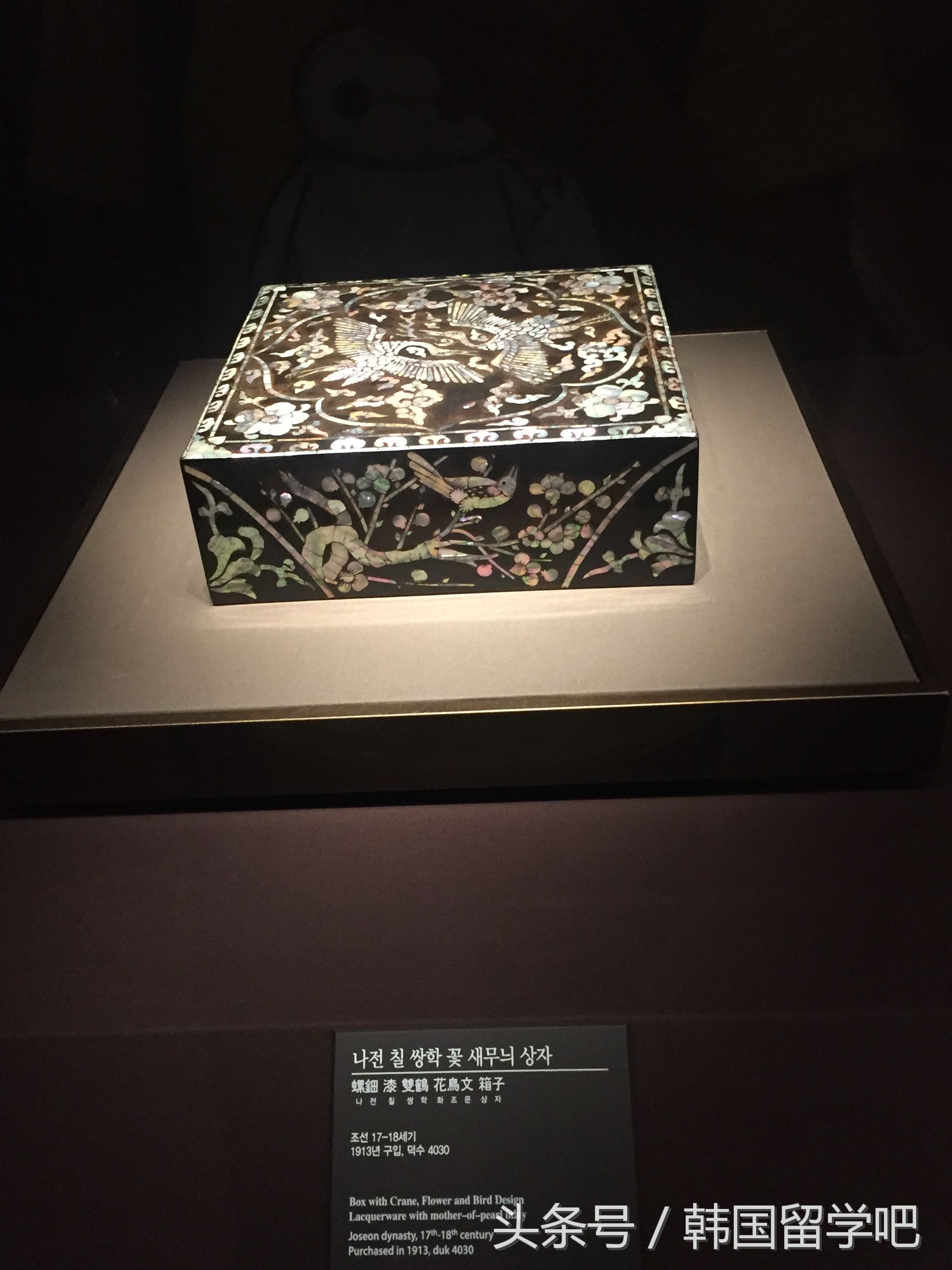 老教授带学生去山洞找文物,韩国教授来到中国博物馆