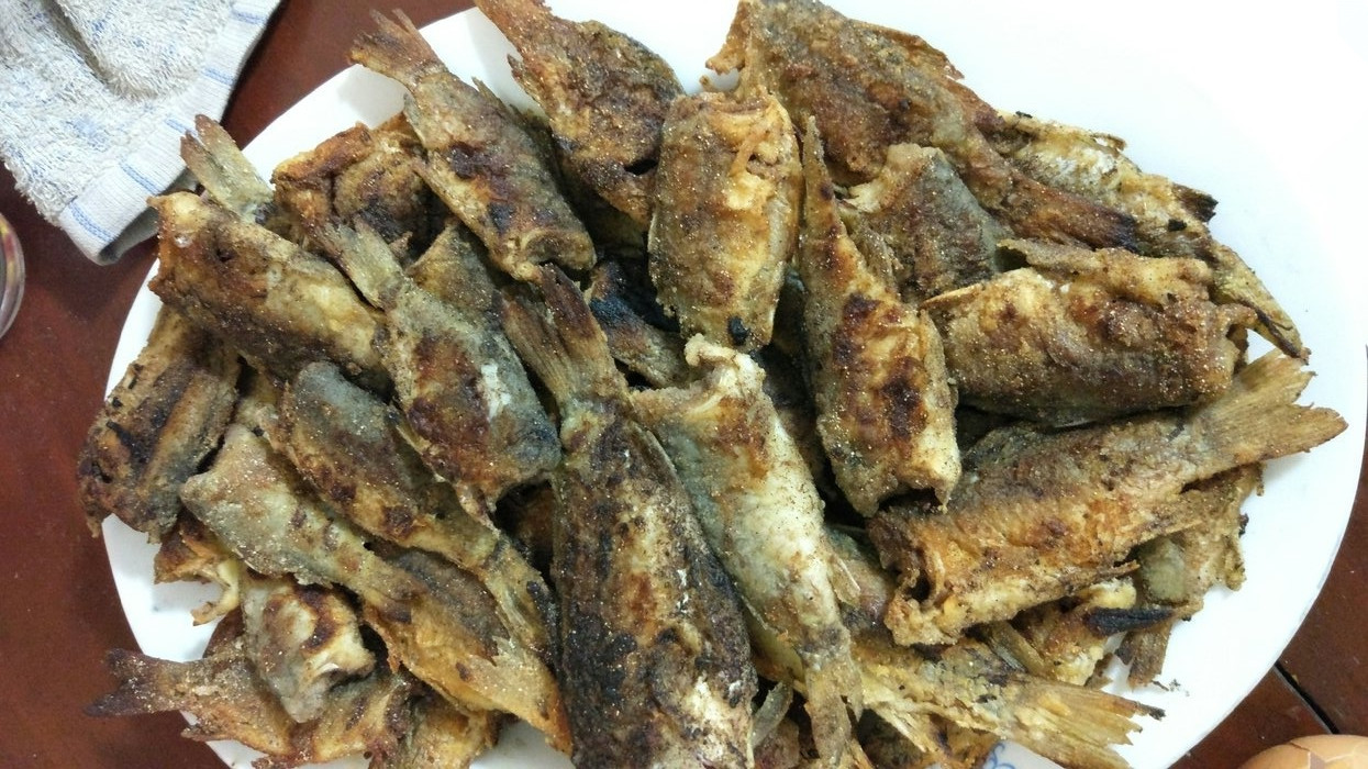 鱼塘钓鲫鱼最佳方法,鱼塘钓鲫鱼用什么饵料