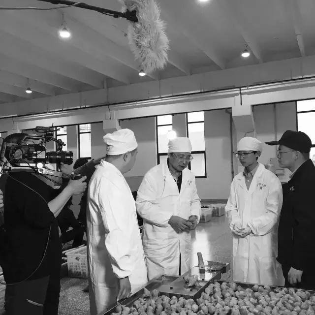 摄制组动态|卢火神附子炮制老官山墓