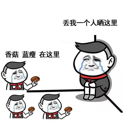 又一个即将火的网红,又一草根网红崛起