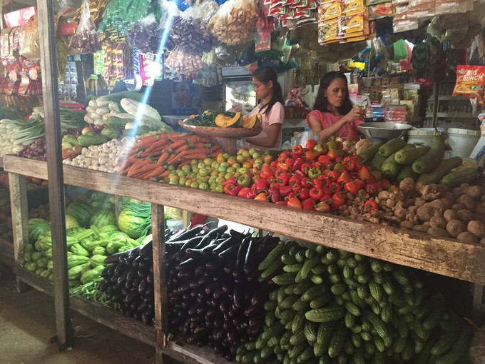 菲律宾潜水游记 (回忆菲律宾潜水的时光)