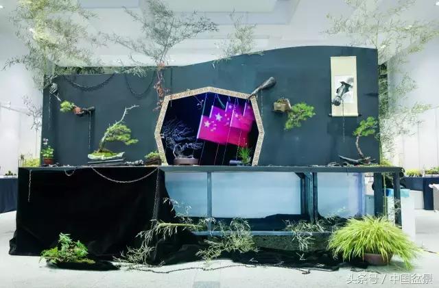 哪些野草适合微型盆景,小品盆景和微型盆景有区别吗