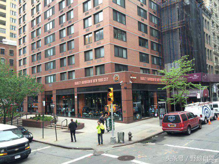 野鹅旅行,野鹅自驾无人区