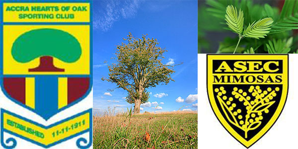 各种奇葩队名字,奇葩搞笑球队名