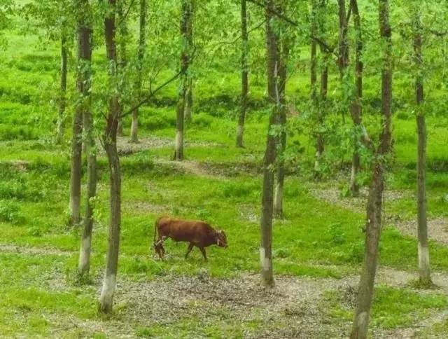 心宿旅舍,民宿推荐来一场说走就走的旅行