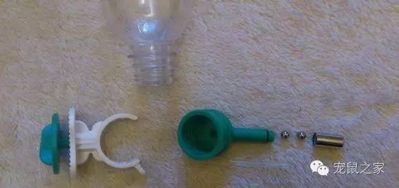 豚鼠各类饲养装备优缺点汇总之上篇