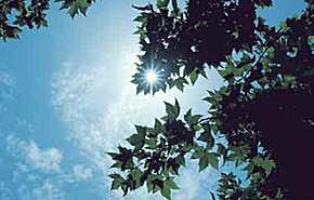 宝宝午睡前午睡后,宝宝午睡后脸颊发烫