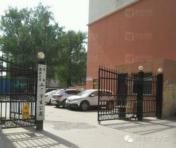 特别策划三分钟过后，农大小石榴马上开挂成老鸟！