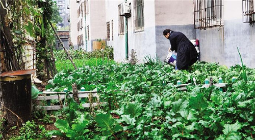 物业走了问题堆下了，弃管小区逐渐变成了大杂院