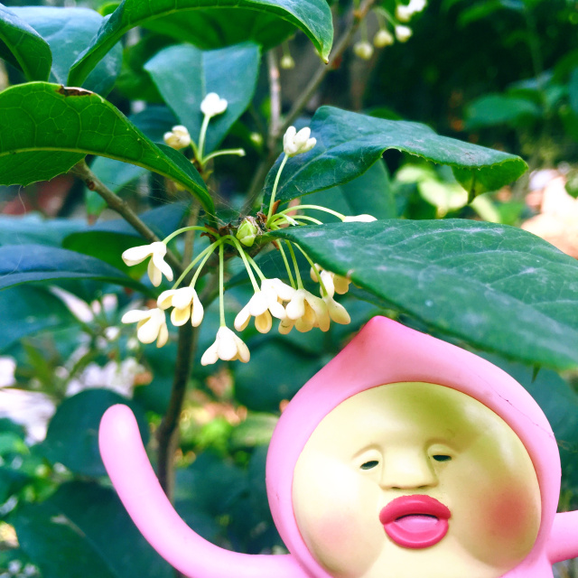 挑战你们的审美,挑战你的审美