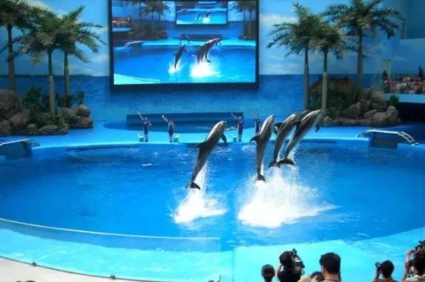 成都主题乐园推荐,成都新增的主题乐园