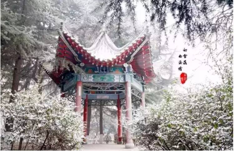 西法大,西法大以后还能评上双一流吗