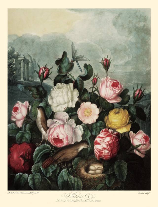 10本新书（读书，终究是为了寻找和安顿自己）