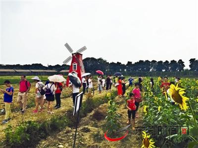 东莞非遗民俗文化节在哪举行,东莞水乡最新活动