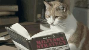 雅诗兰黛anr特润修护精华眼霜,雅诗兰黛ANR眼霜排行