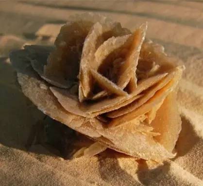 沙漠玫瑰石|放你走还是让你留