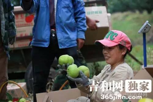 长春热企提前开栓供暖,长春市提前开栓供热通知