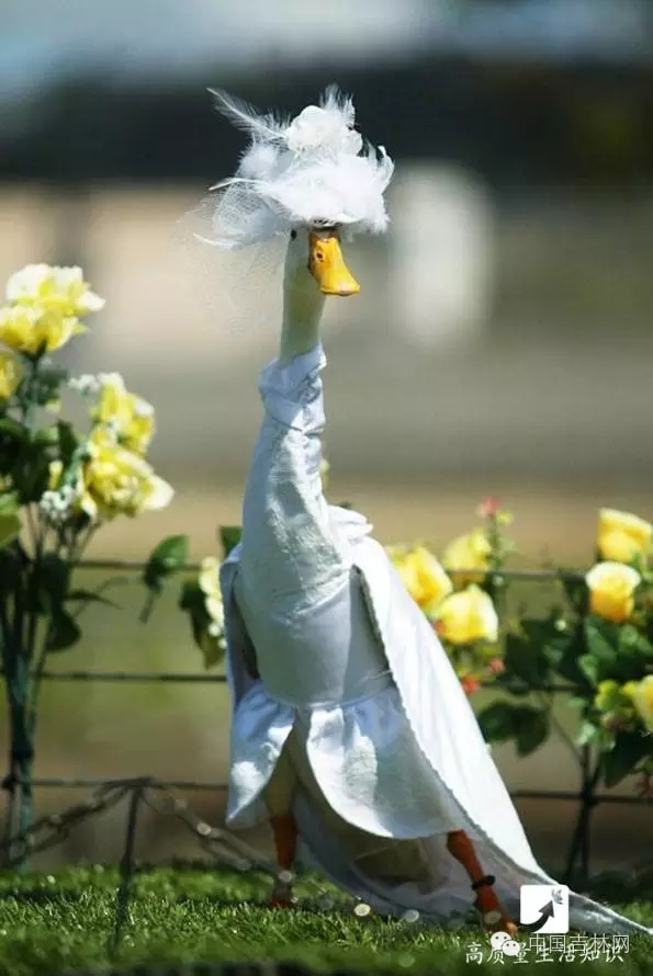 长春热企提前开栓供热,长春热企最新动态