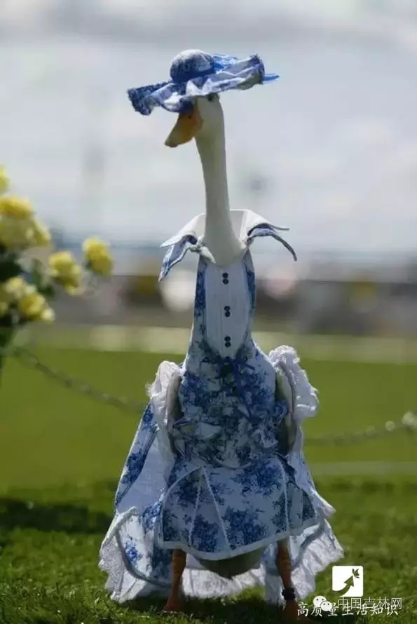 长春热企提前开栓供暖,长春市提前开栓供热通知