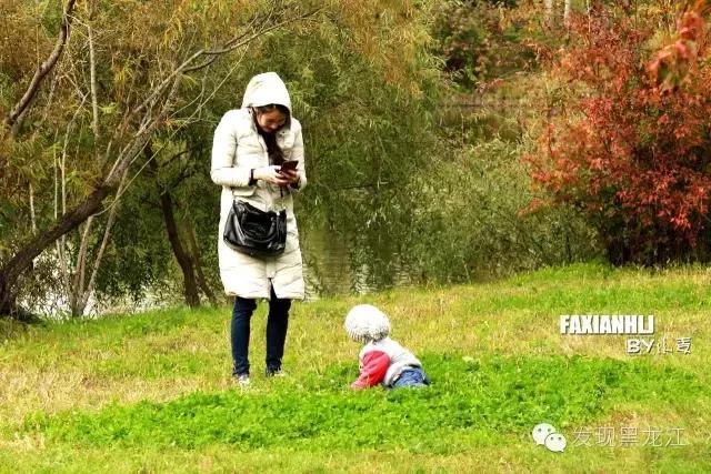 伏尔加庄园一日游都有什么玩儿的,伏尔加庄园怎么吃住玩