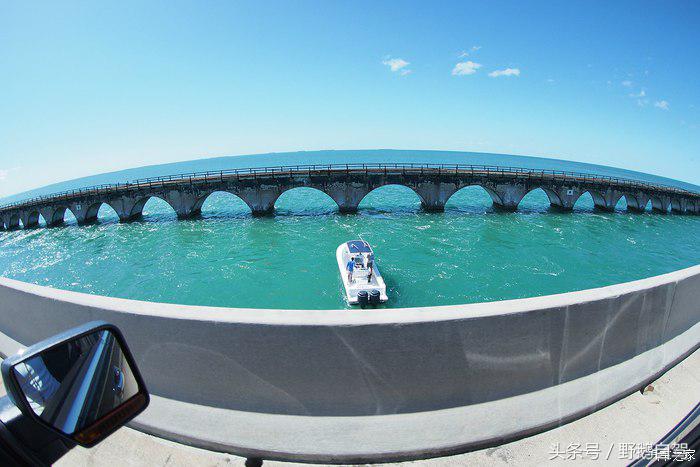 野鹅旅行,野鹅自驾无人区