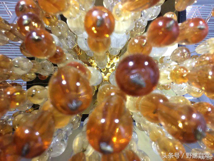 野鹅旅行,野鹅自驾无人区