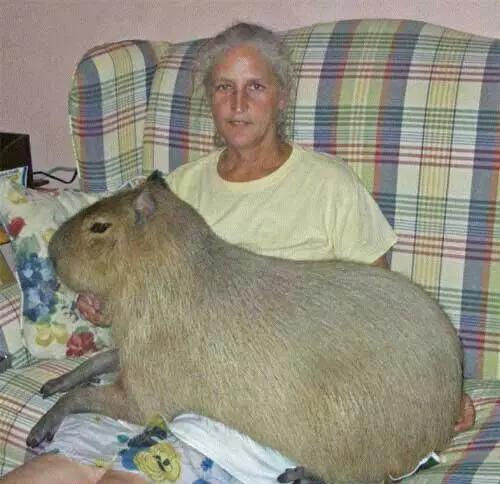 世界之最盘点：最黑的萌娃，最大的美女！