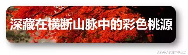 秋看落叶，夏玩水！成都边边观红叶圣地推介