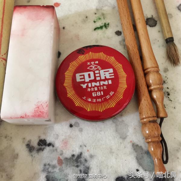 猫奴求助猫猫淘气吃了一点书法印泥会中毒吗？在线等，挺急的。