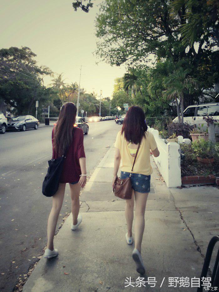 野鹅旅行,野鹅自驾无人区