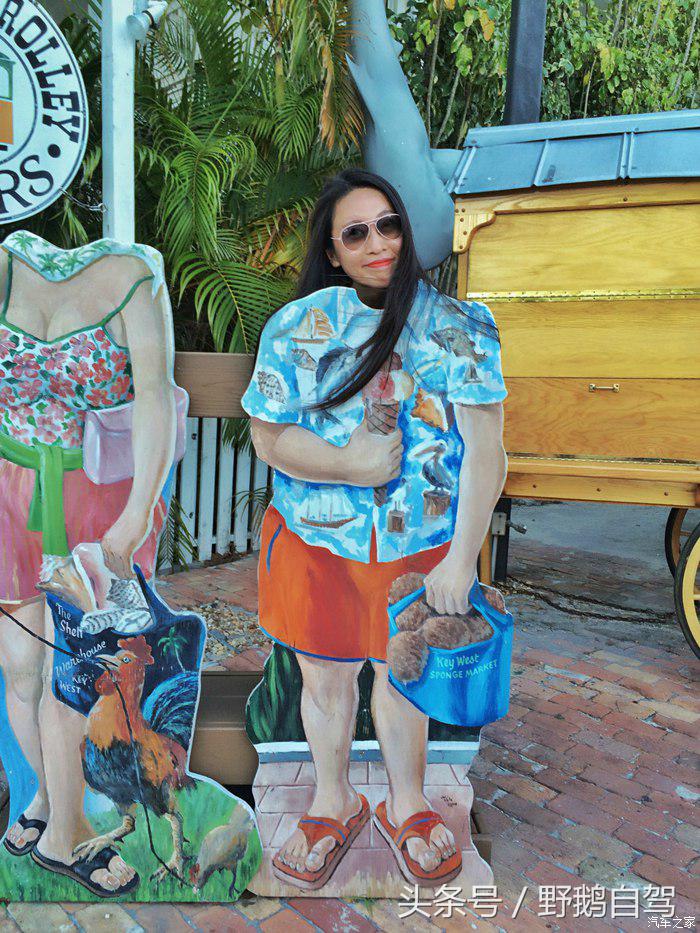 野鹅旅行,野鹅自驾无人区