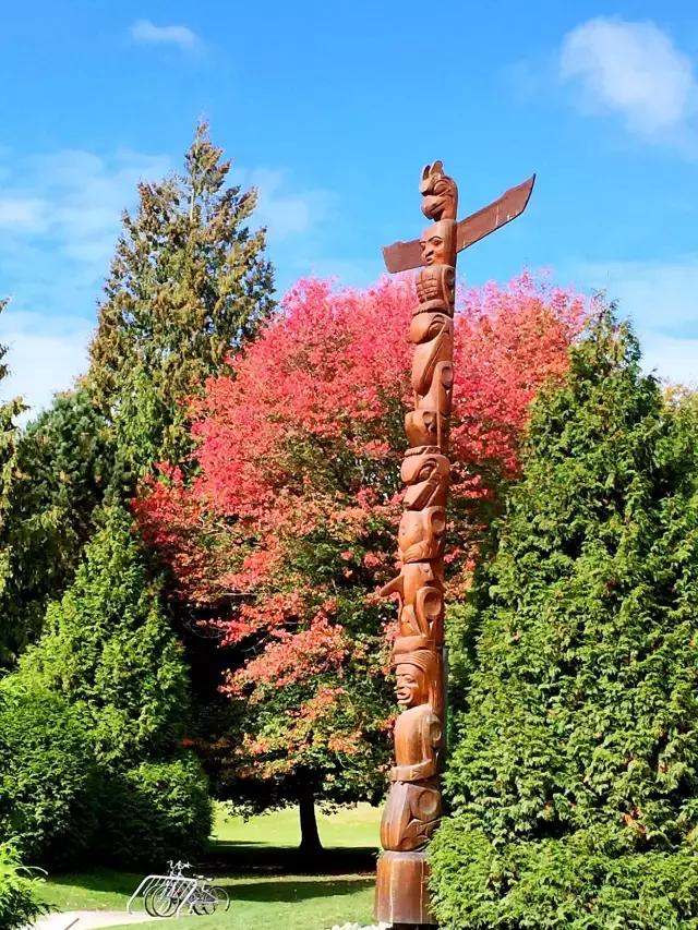 你们都错了，其实加拿大的秋季才是最厉害的时装大师