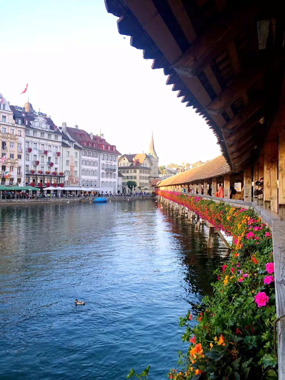 蓝瘦香菇在这里视频,蓝瘦香菇在法国