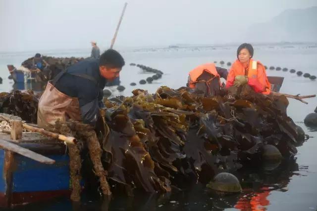 秦始皇长岛,蓬莱仙岛秦始皇