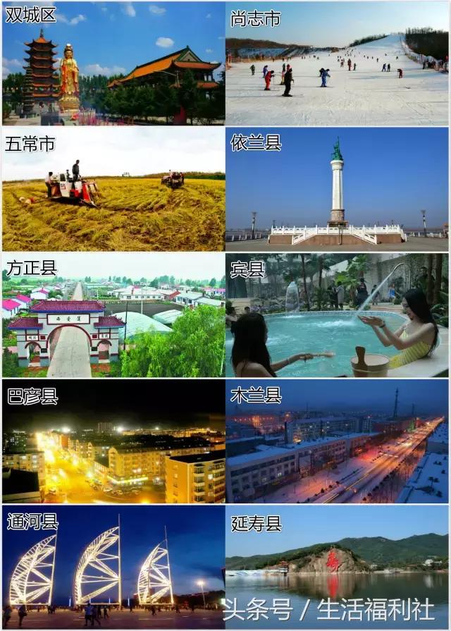 什么能够代表哈尔滨,哈尔滨代表人