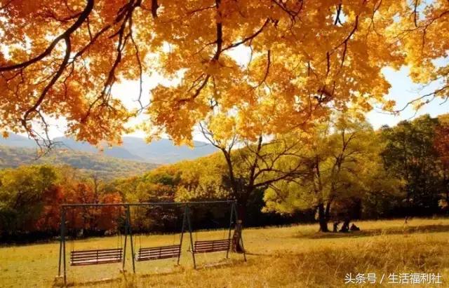 什么能够代表哈尔滨,哈尔滨代表人