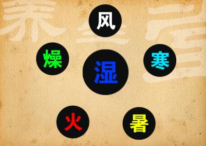 伤寒论辨证十问,伤寒论的辨证法及其奥秘