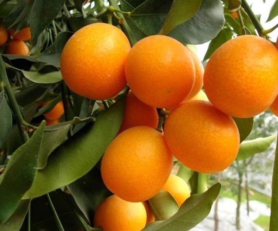 护眼隐藏灯,眼部护眼最好的方法