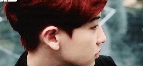 exo你绝对没看过的系列,exo有生之年系列