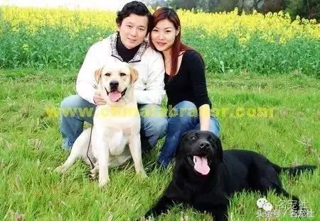 优基10kg中型犬粮,优基小型犬全价幼犬粮