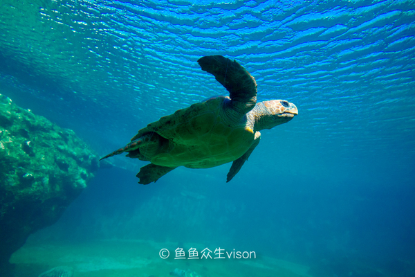 金银岛是真实存在的吗,金银岛神秘之谜